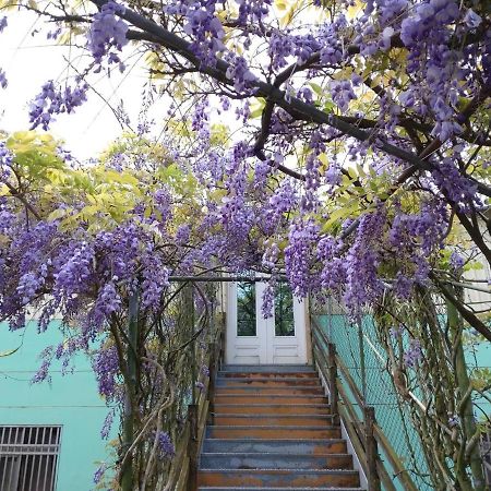 Youlin Homestay Mejsan Kültér fotó