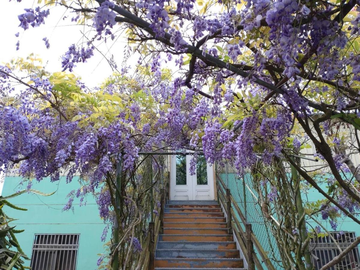 Youlin Homestay Mejsan Kültér fotó